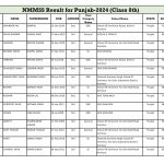 PSTSE/NMMSS 2025 Class 8th Result