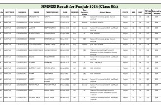 PSTSE/NMMSS 2025 Class 8th Result