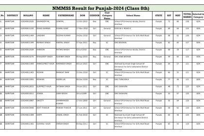 PSTSE/NMMSS 2025 Class 8th Result