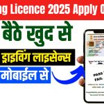 Driving Licence 2025 Apply Online
