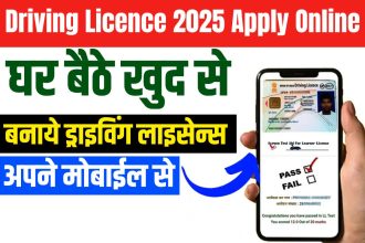 Driving Licence 2025 Apply Online