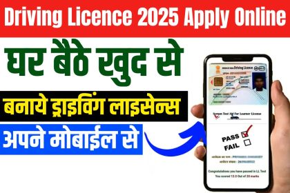 Driving Licence 2025 Apply Online