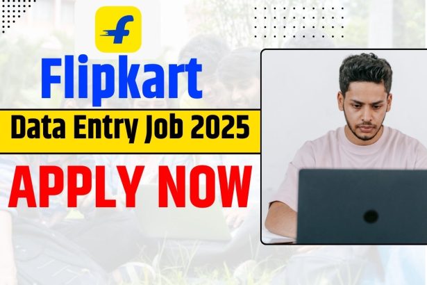 Flipkart Data Entry Job 2025